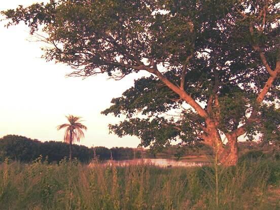 The Gunjur Project Lodge ภายนอก รูปภาพ